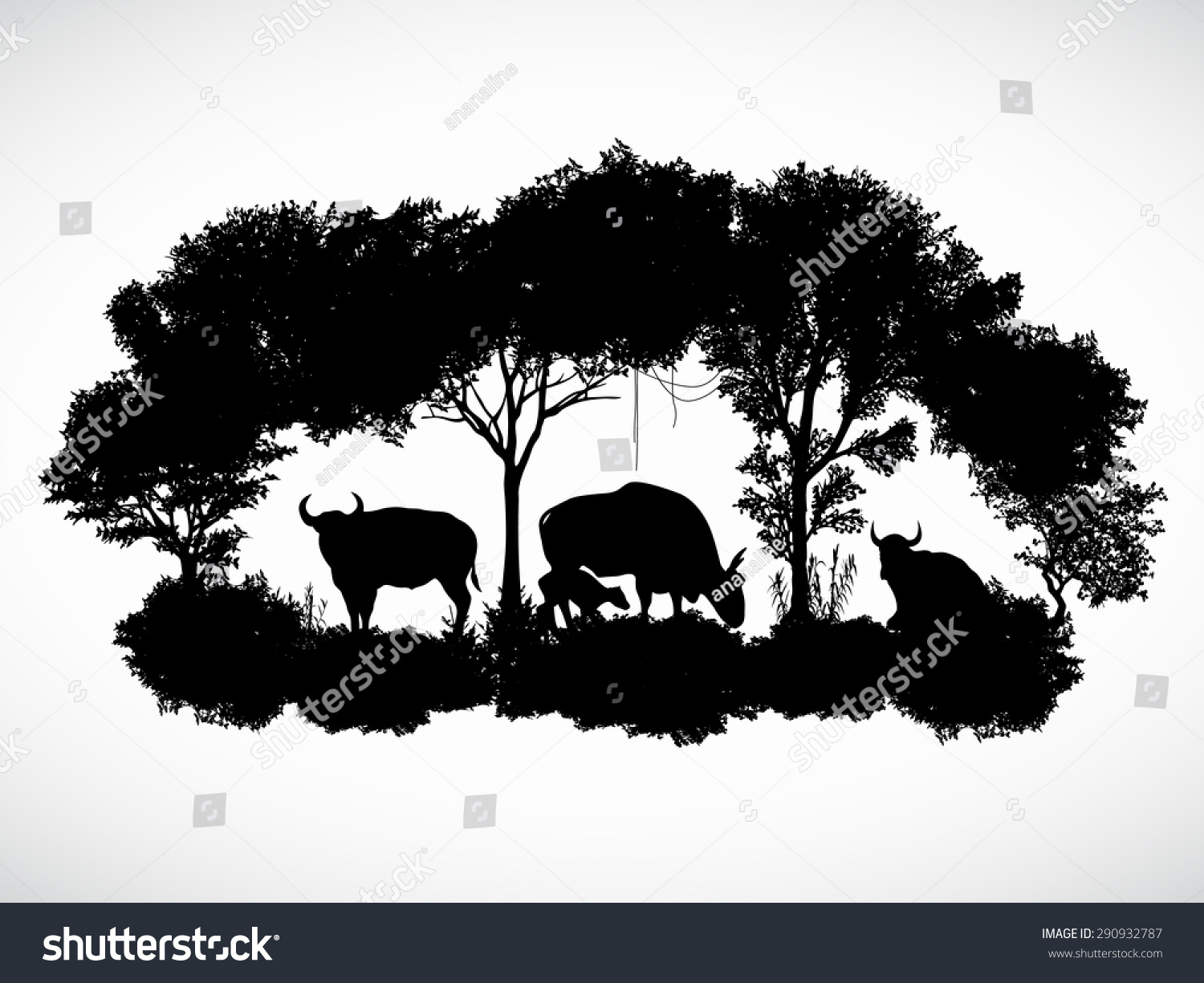 animal of wildlife is bull or gaur or wild ox  silhouette vector design
