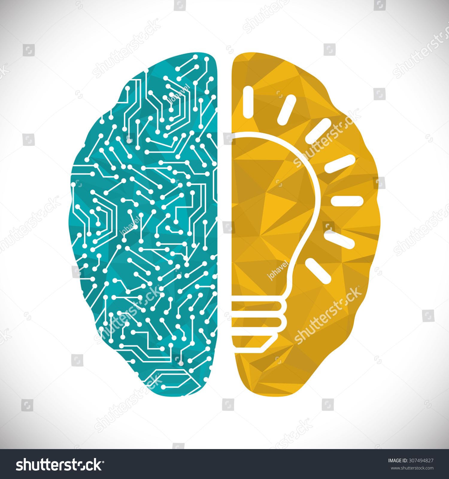 Human brain design  vector illustration eps 10.