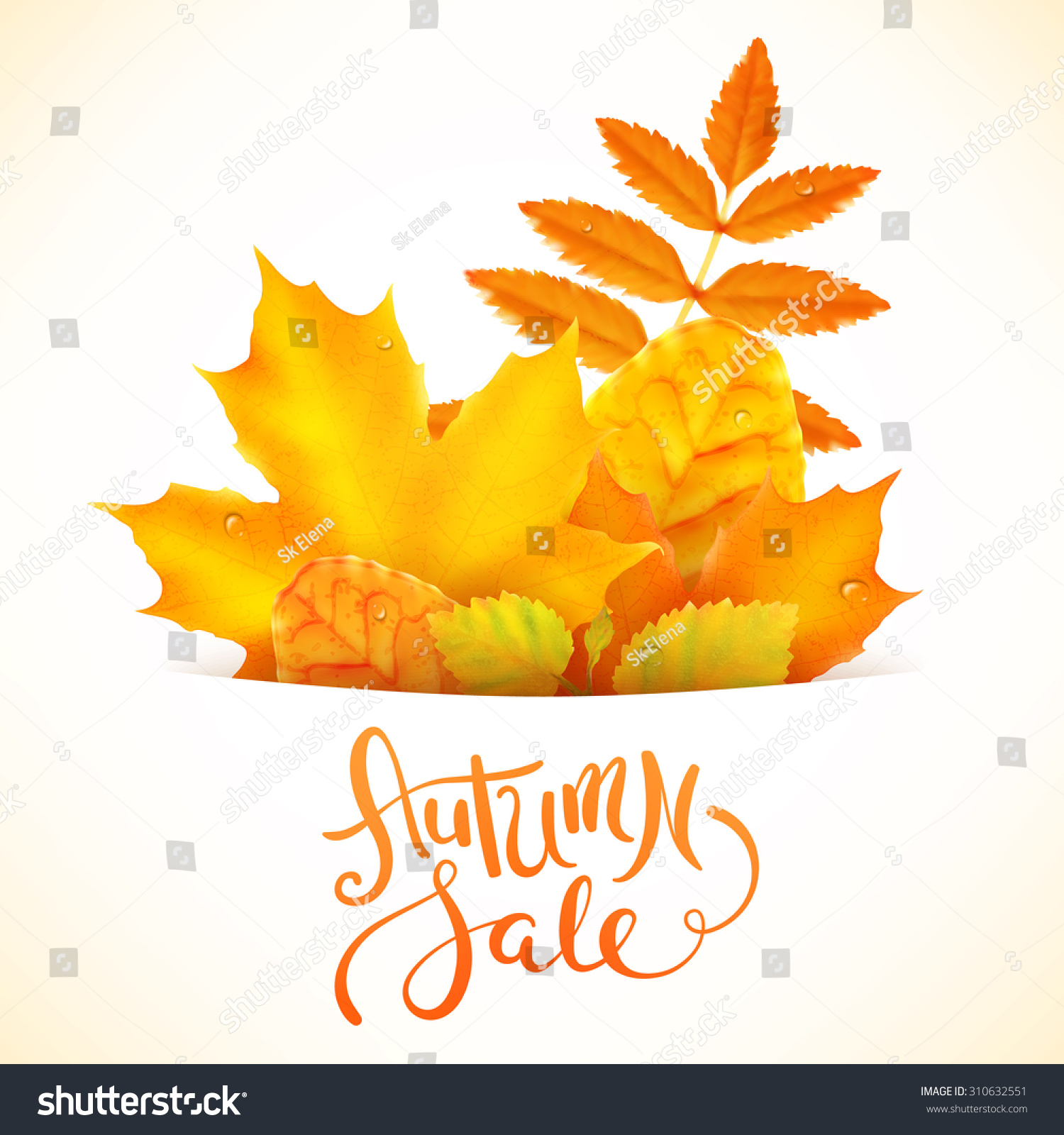 Hand made lettering Autumn sale with bright leaves