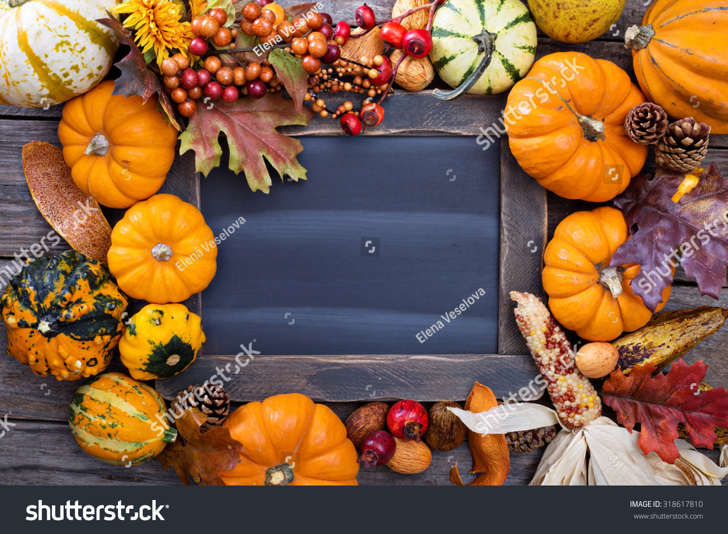 Pumpkins and variety of squash around a chalkboard