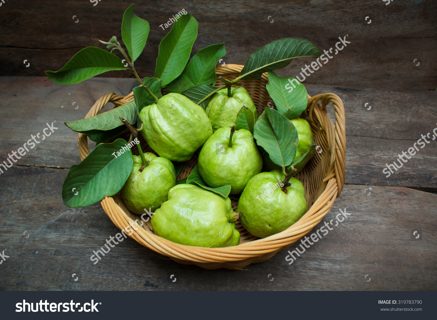Fresh green guavas on old wood background.