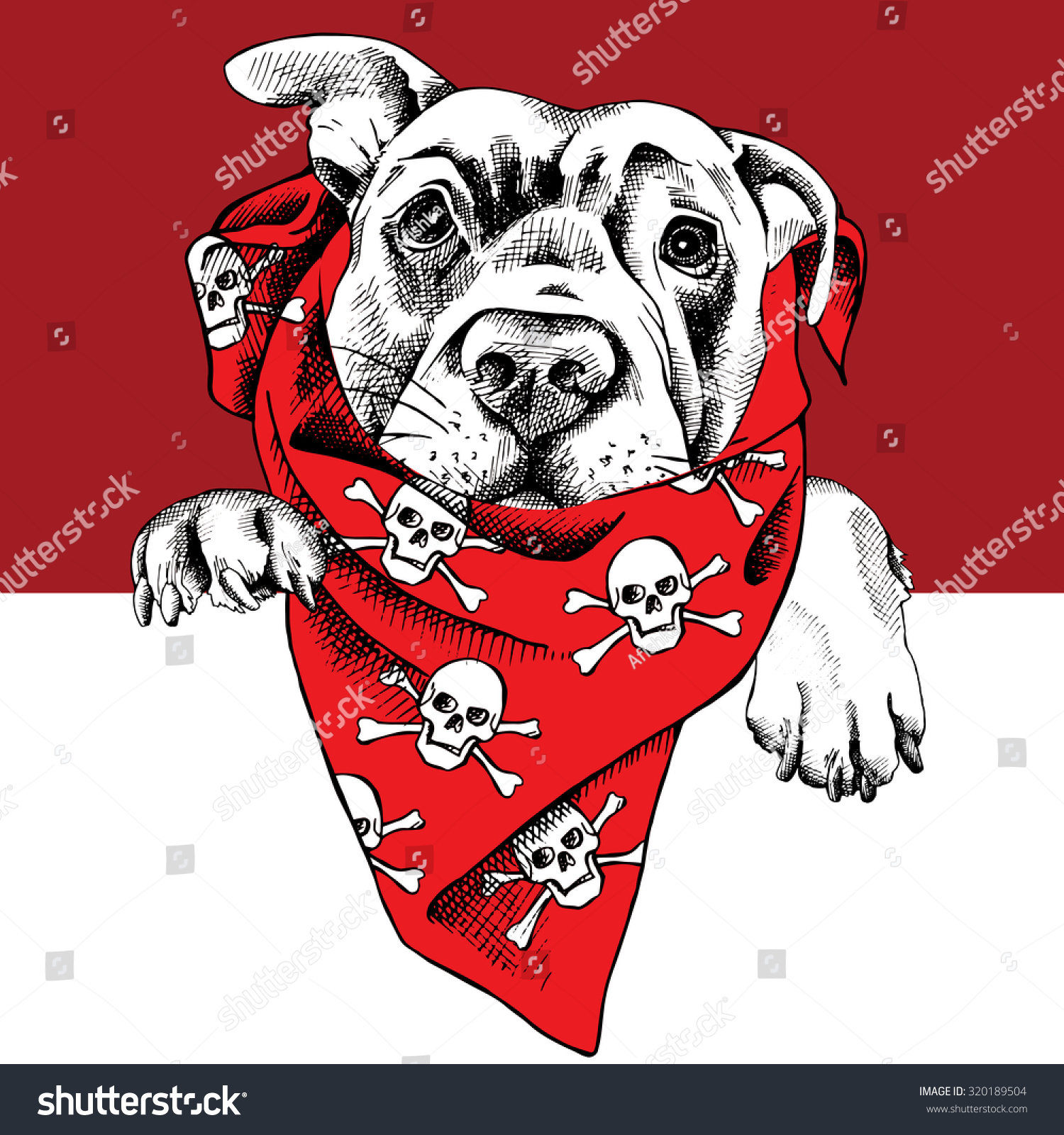 Portrait of a dog labrador in red neckerchief with image of skulls. Vector illustration.