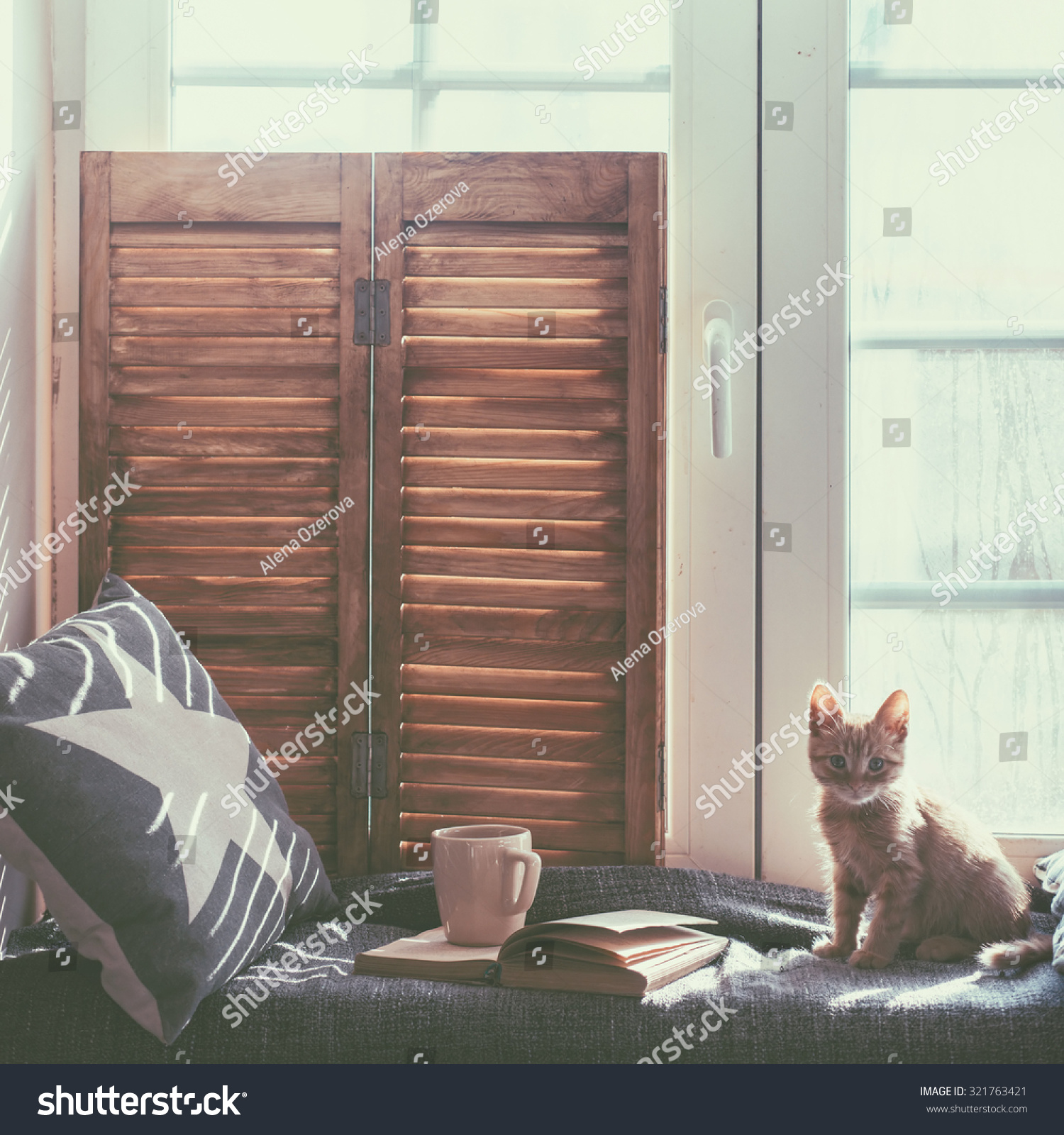 Warm and cozy window seat with cushions and a opened book light through vintage shutters rustic style home decor.