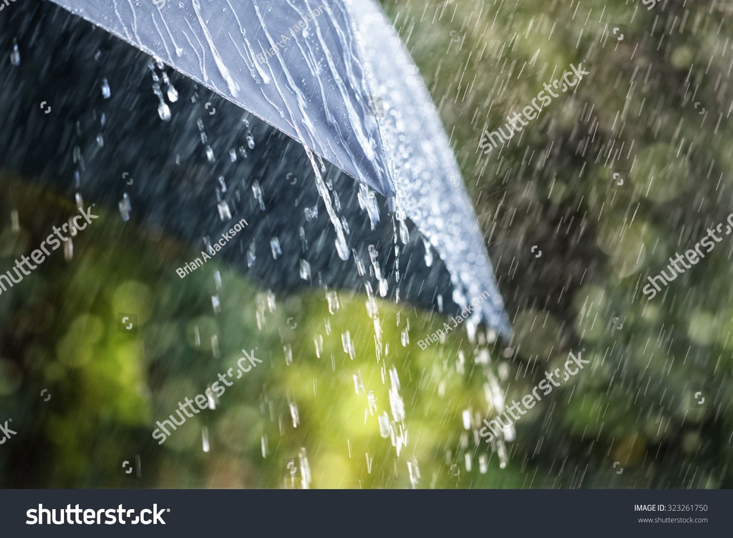 Rain drops falling from a black umbrella concept for bad weather  winter or protection