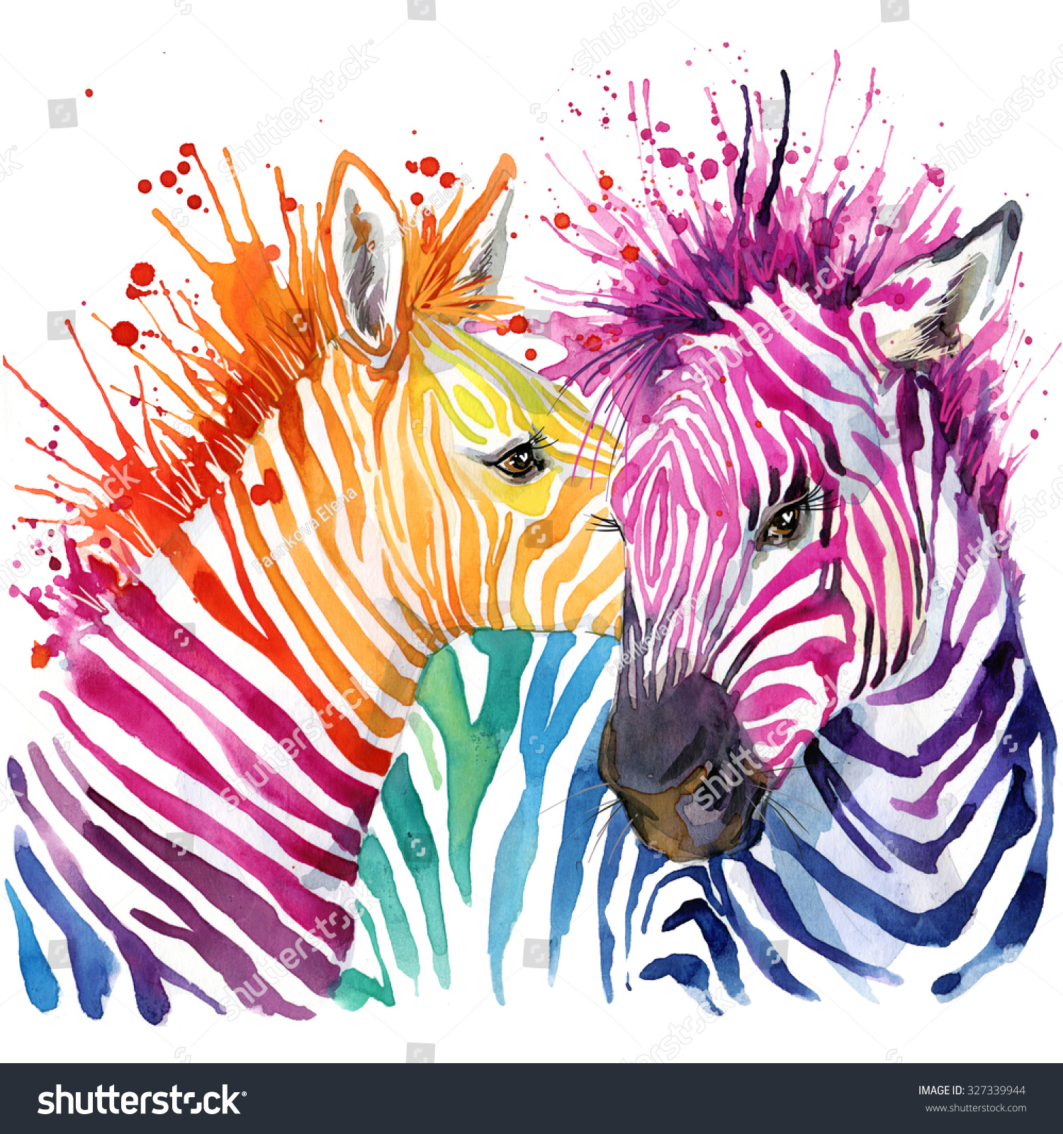 Funny zebra  T-shirt graphics  rainbow zebra illustration with splash watercolor textured background. illustration watercolor Funny zebra fashion print  poster for textiles  fashion design