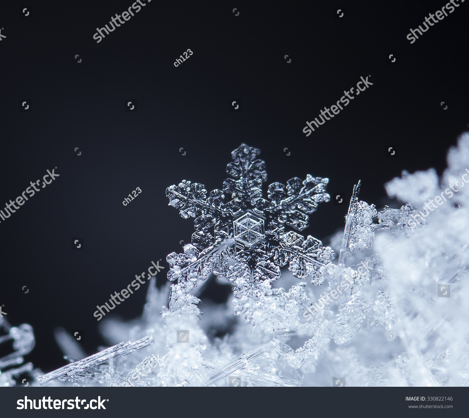 photo real snowflakes during a snowfall  under natural conditions at low temperature


