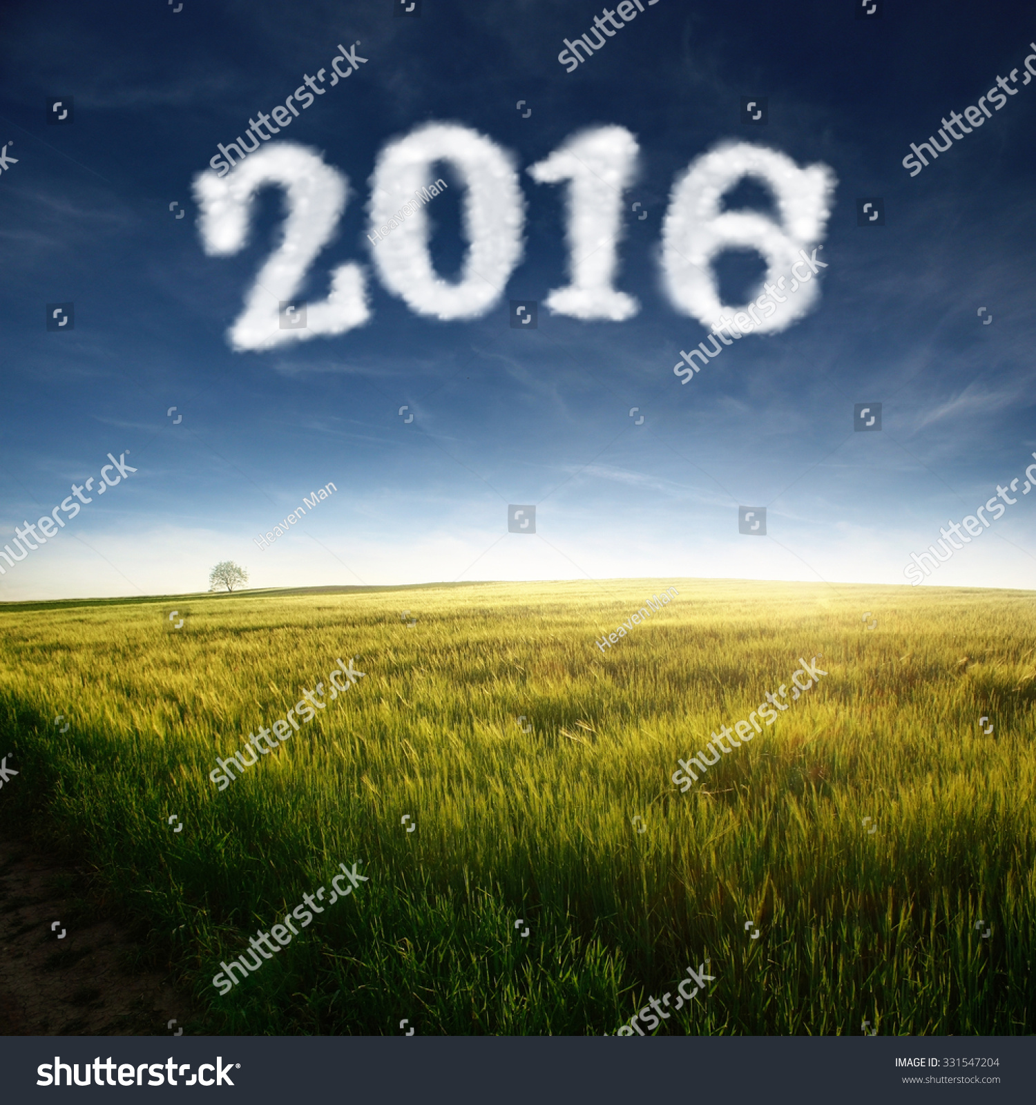 cloud shaped number forward to 2016 on beautiful meadow