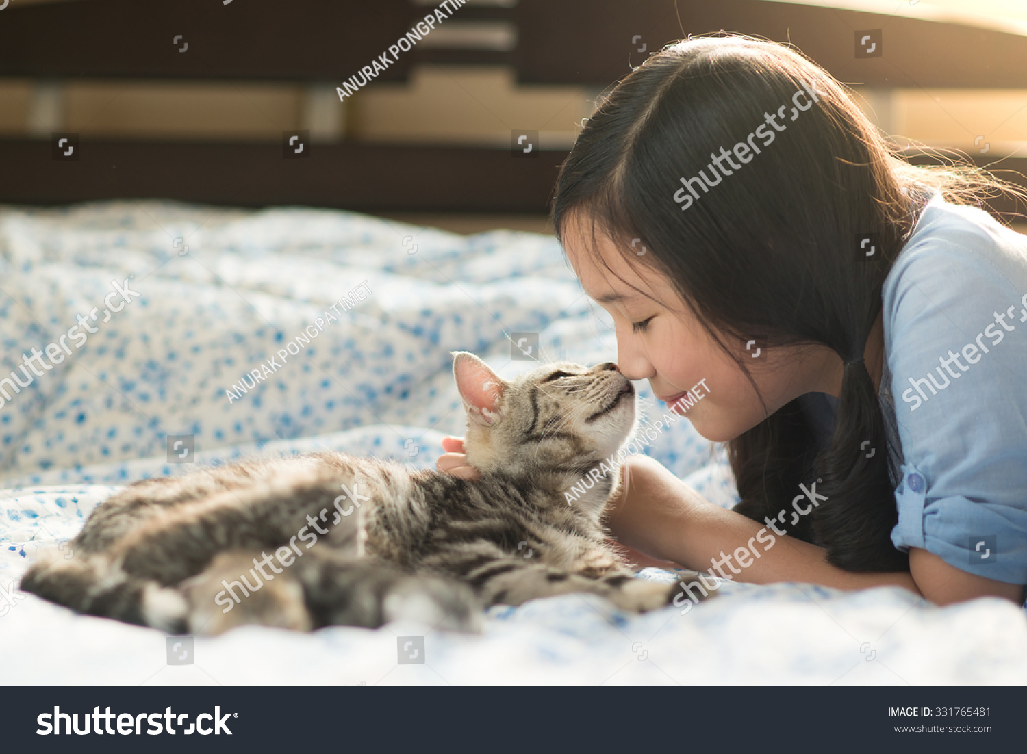 Beautiful asian girl kissing american shorthair cat on the bed