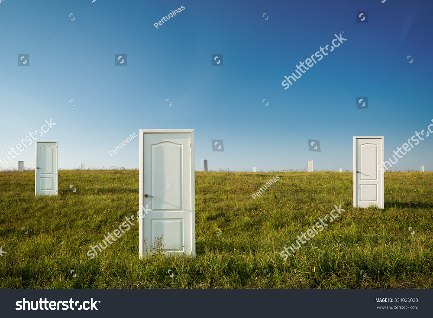 Business concept of choice: many doors in a field