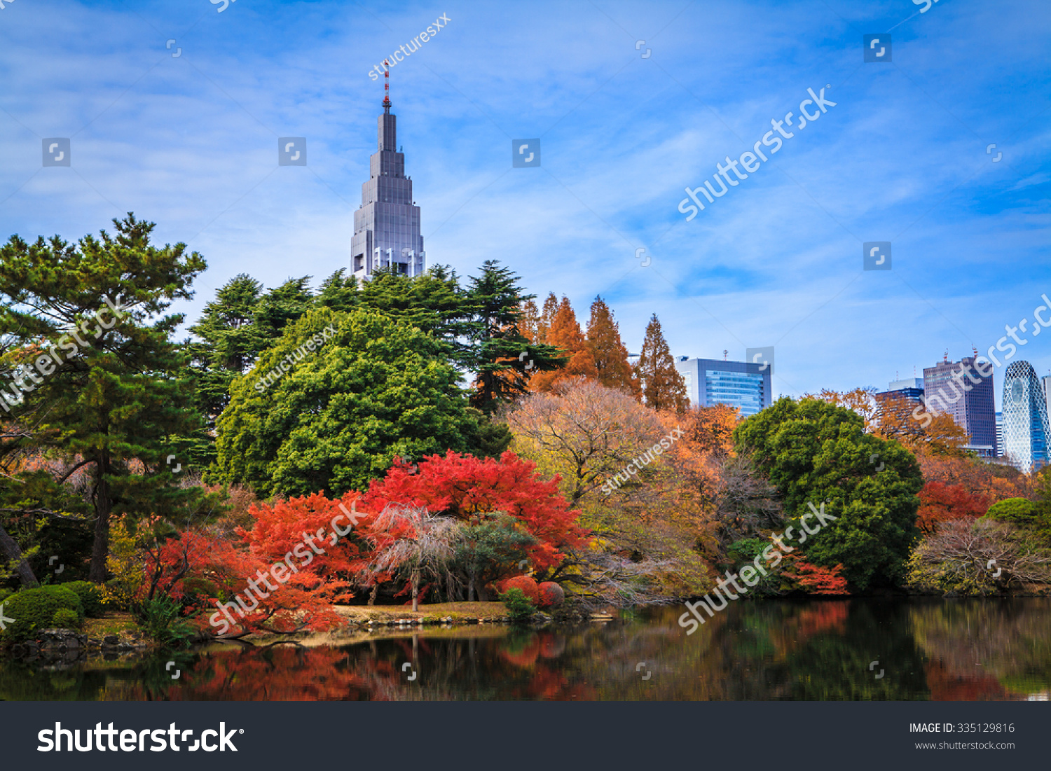 Autumn leaves at Shinjuku Gyoen Park with blue sky  Shinjuku  Tokyo.