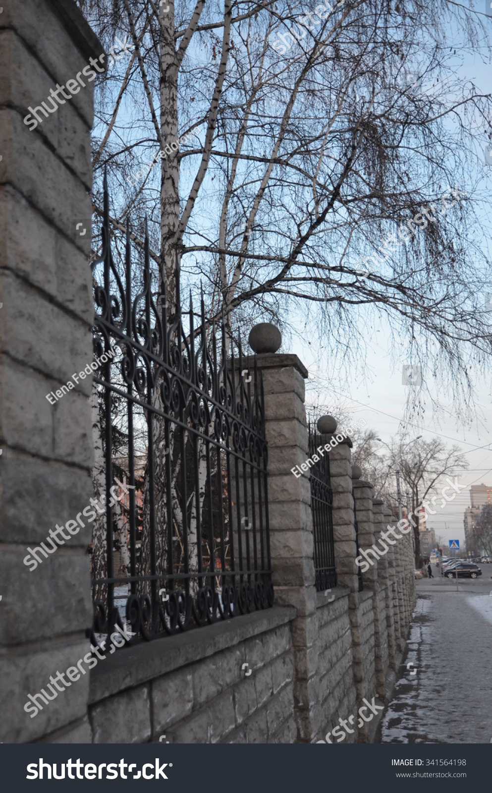 fence wrought iron fence forging and stone wrought-iron ornaments birch on the background of wrought fence