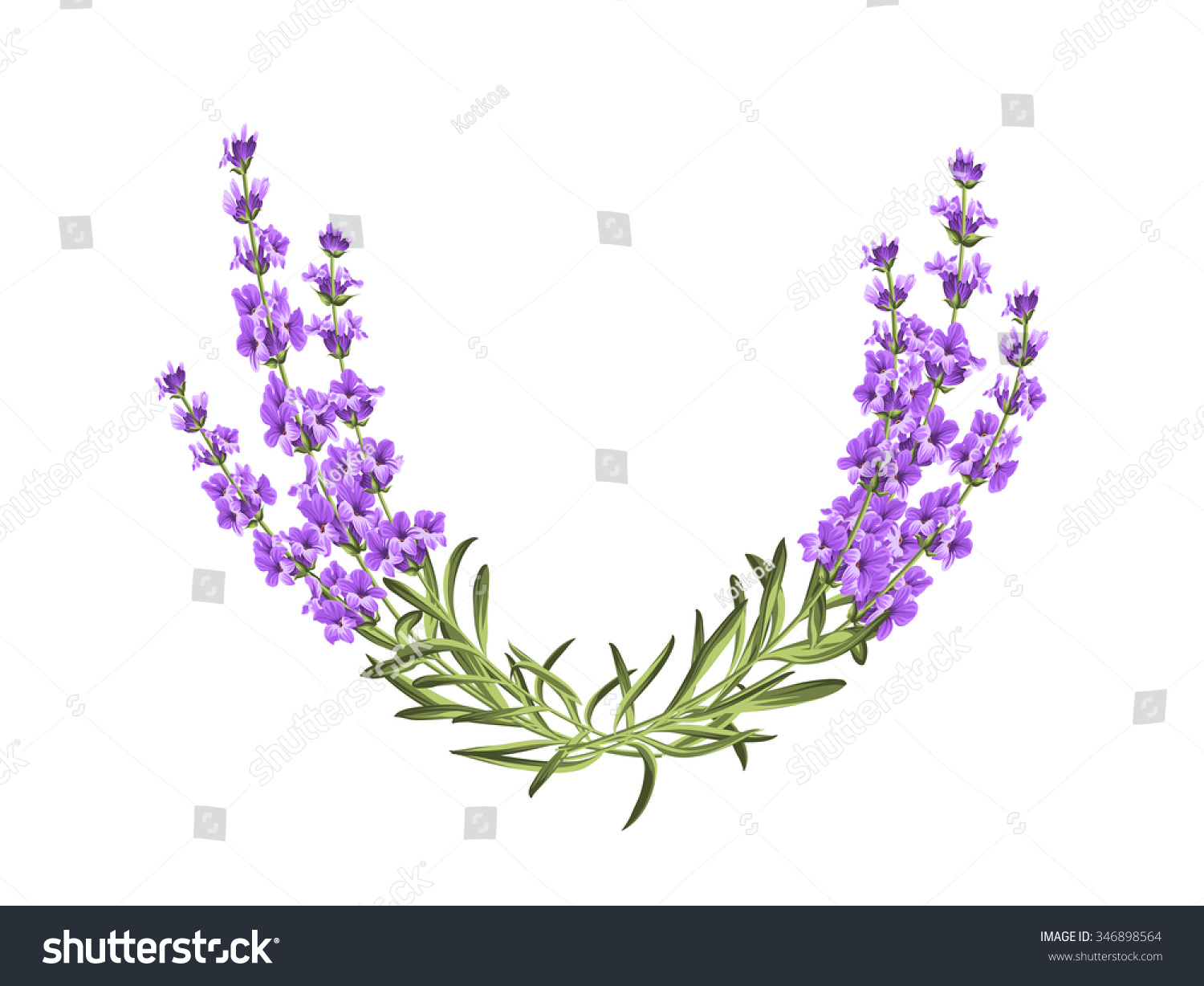 Wreath  provence  frame   floral  perfume. Bunch of lavender. Vector illustration.