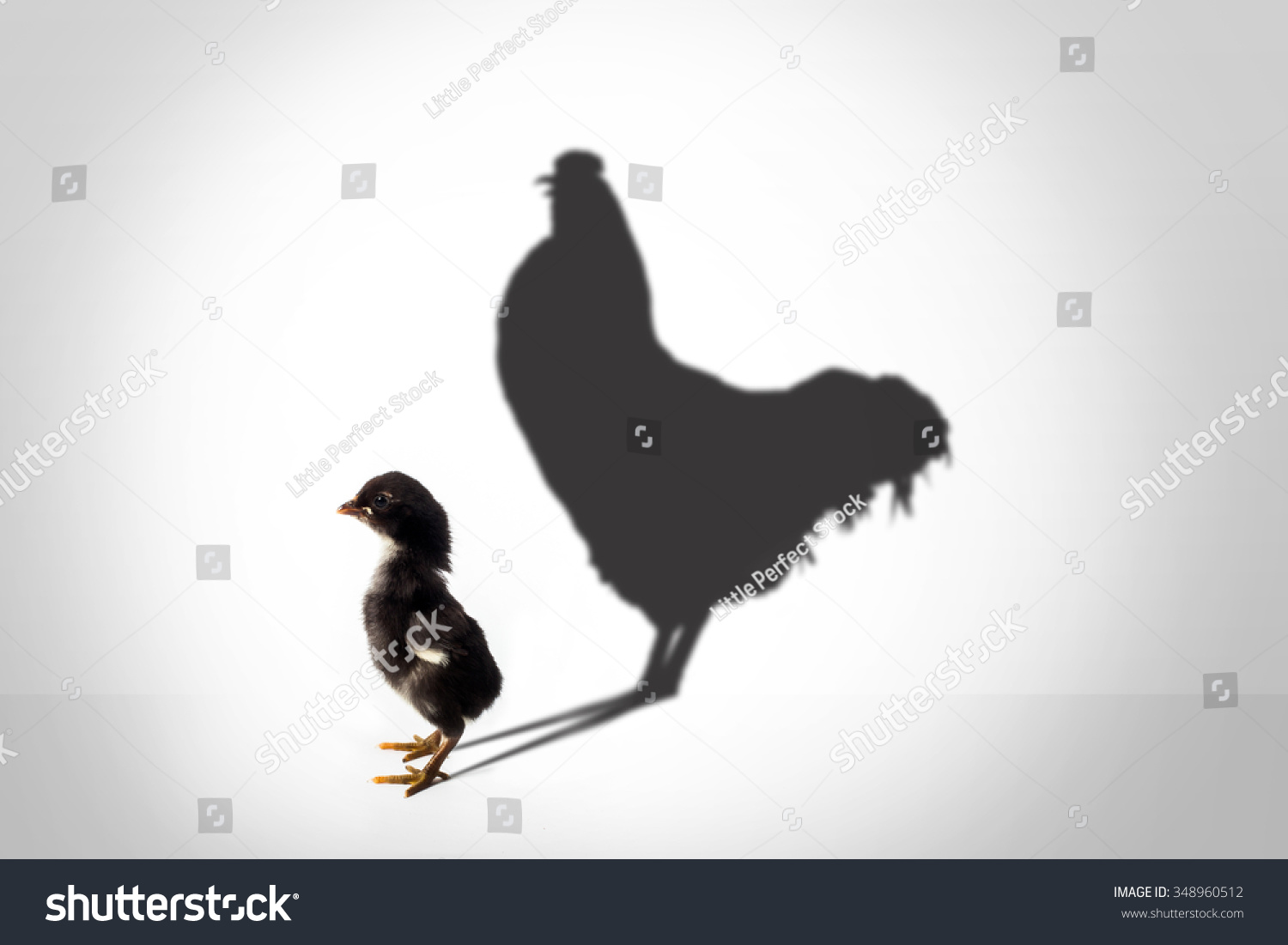 2017 Happy new year concept powerful shadow from black chicken 