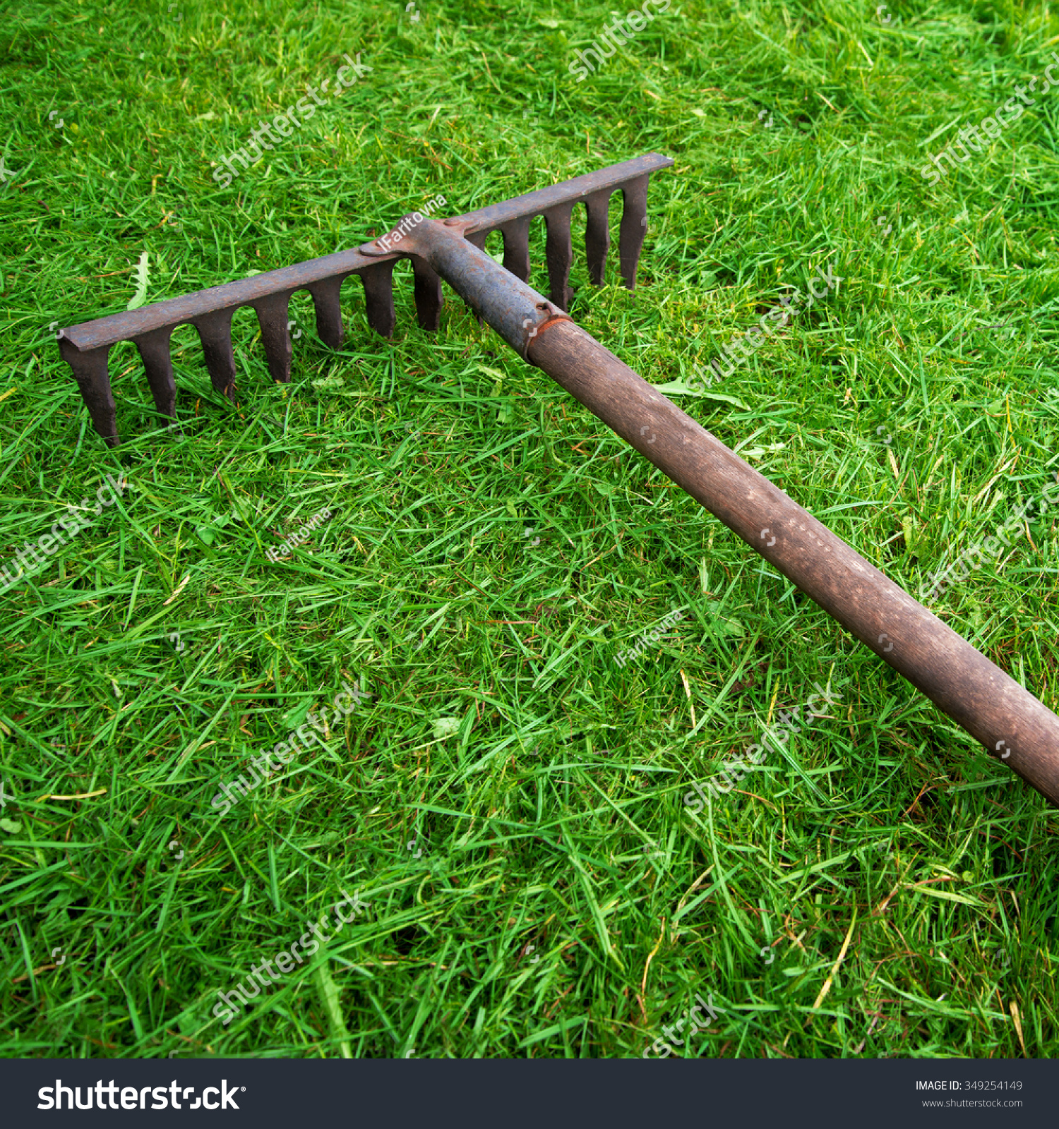 bladeofgrass