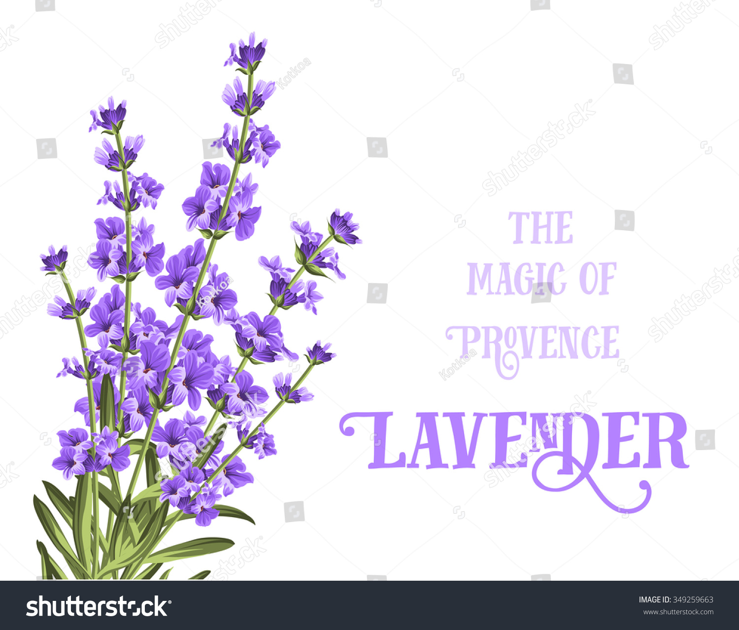 The lavender elegant card with frame of flowers and text. Lavender garland for your text presentation. Label of soap package. Label with lavender flowers. Vector illustration.