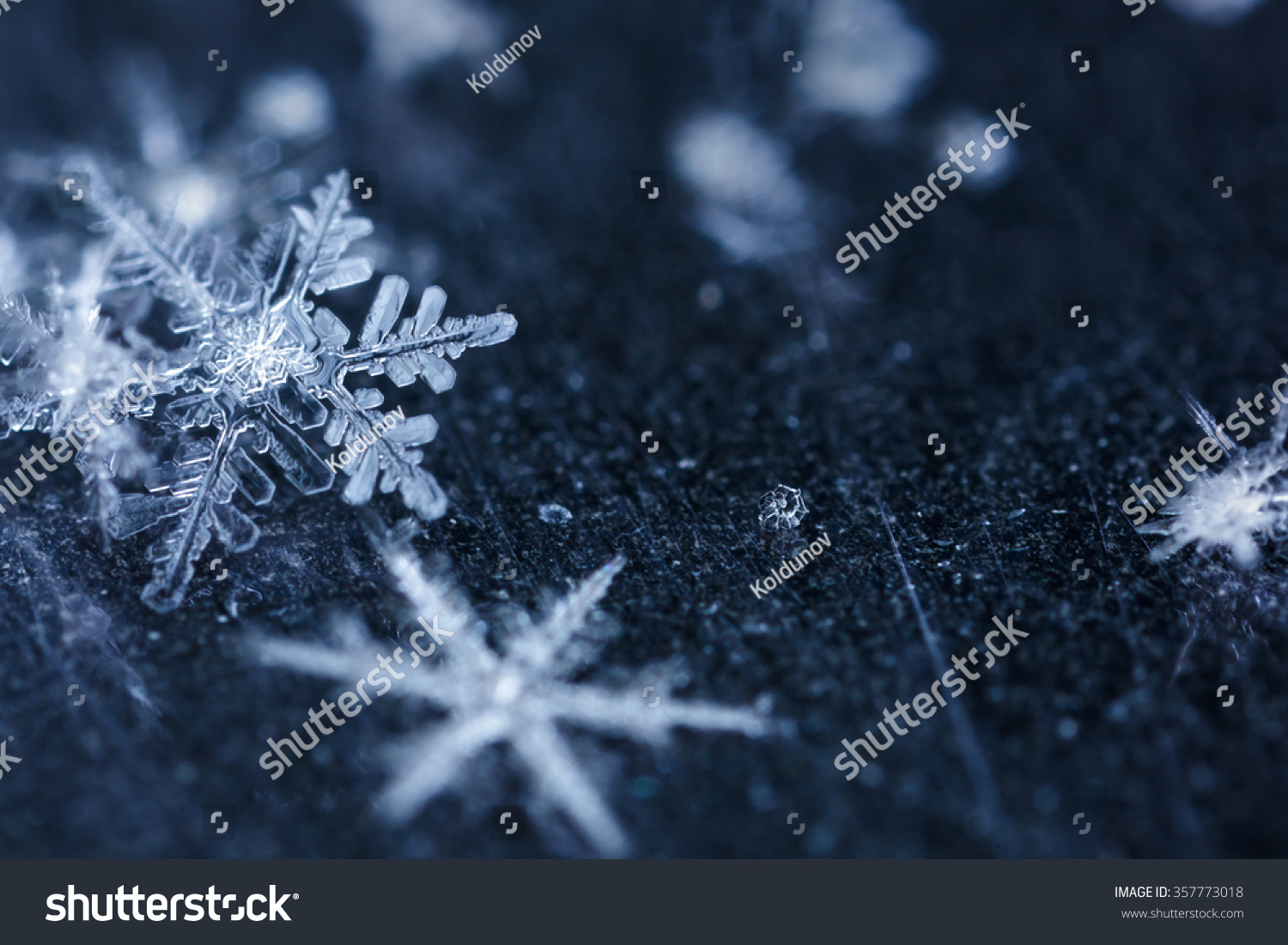 Snowflakes lie on the ice surface