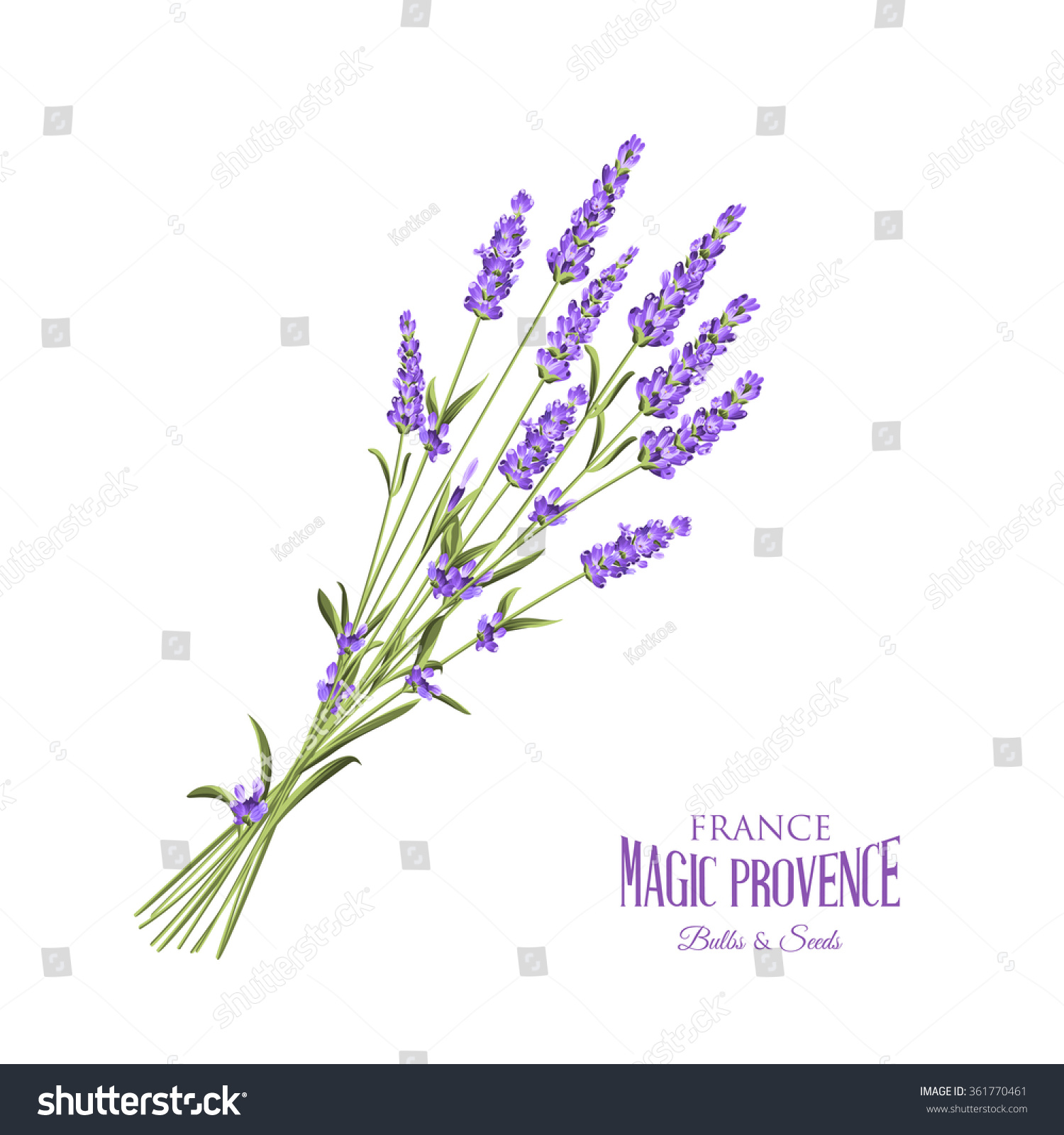 Lavender elegant card.