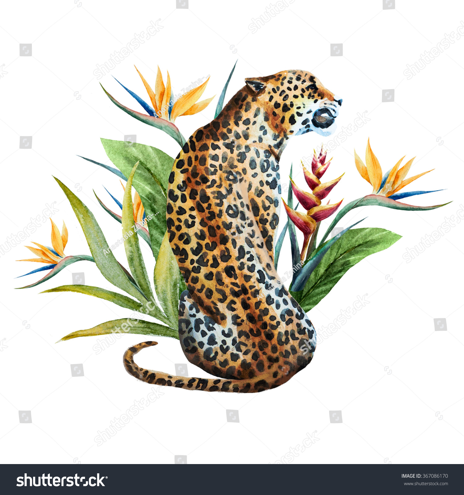watercolor leopard sitting back  Strelitzia flower  tropical leaves   watercolor print  tropical