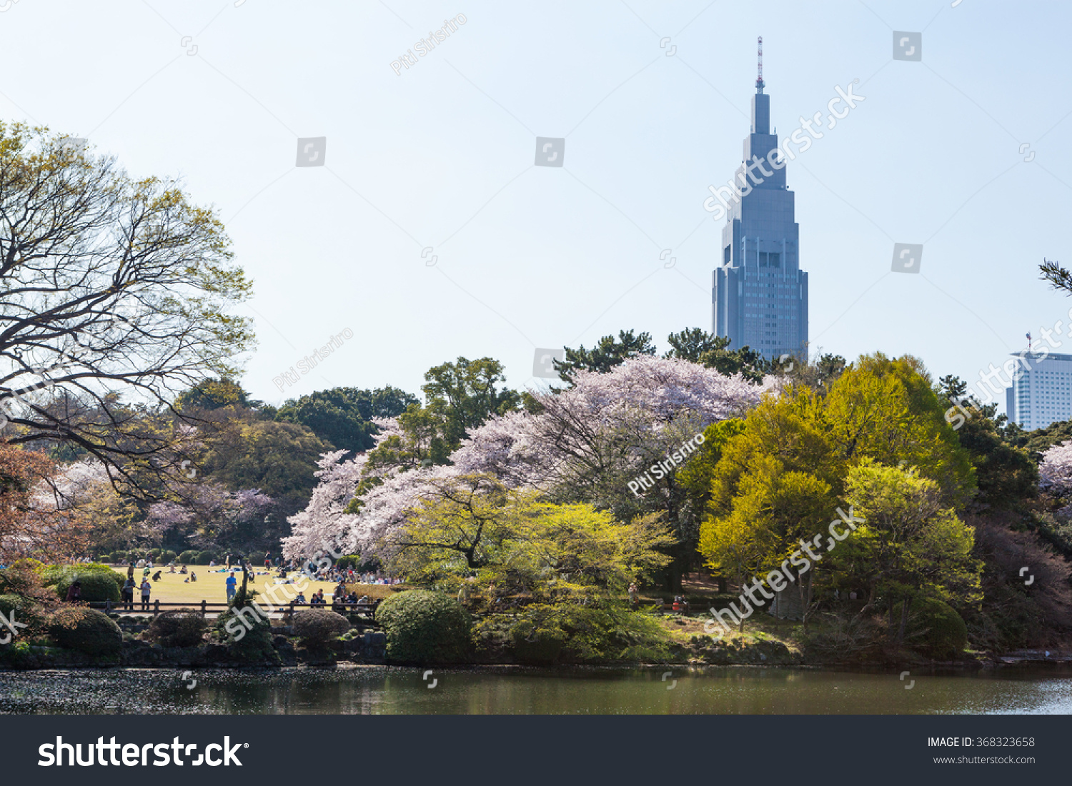 Shinjuku Gyoen national garden. This park is a very famous and popular Cherry-blossom (Sakura) viewing spot in Tokyo.