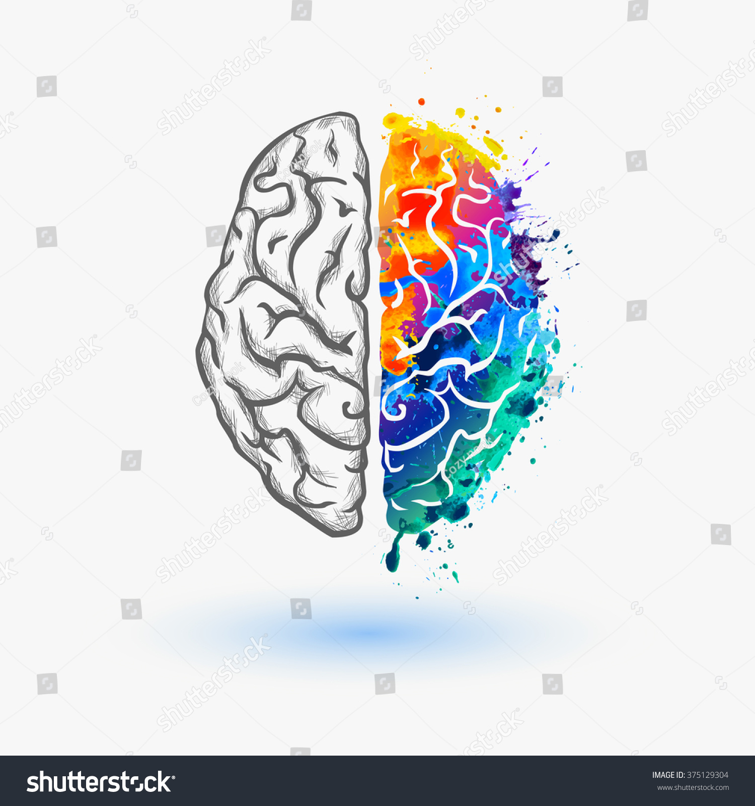 Left and right hemisphere of human brain