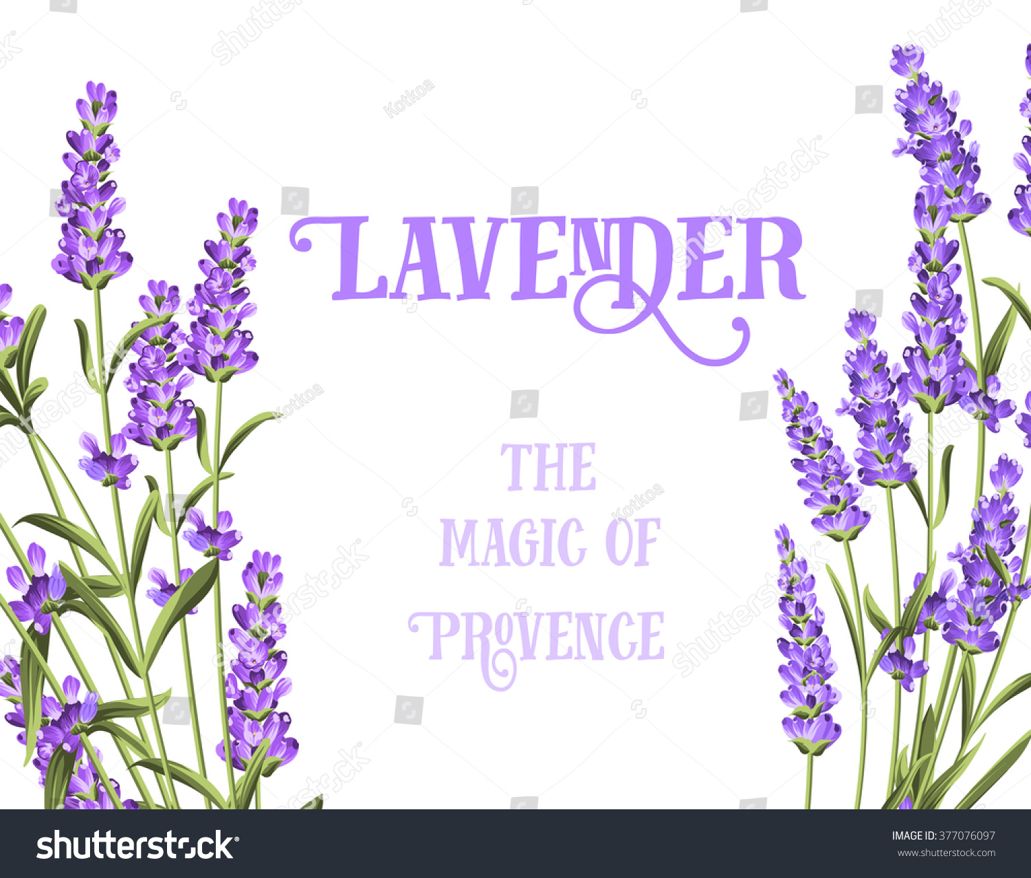 The lavender elegant card.