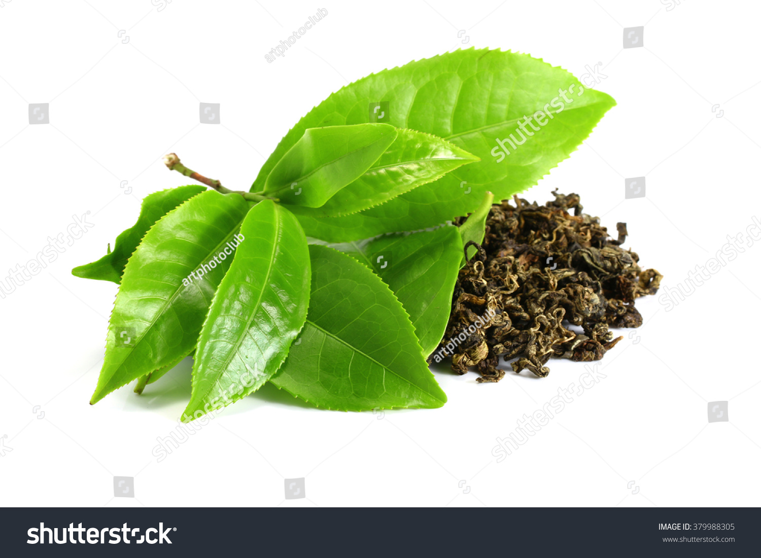 Green tea leaf isolated on white background
