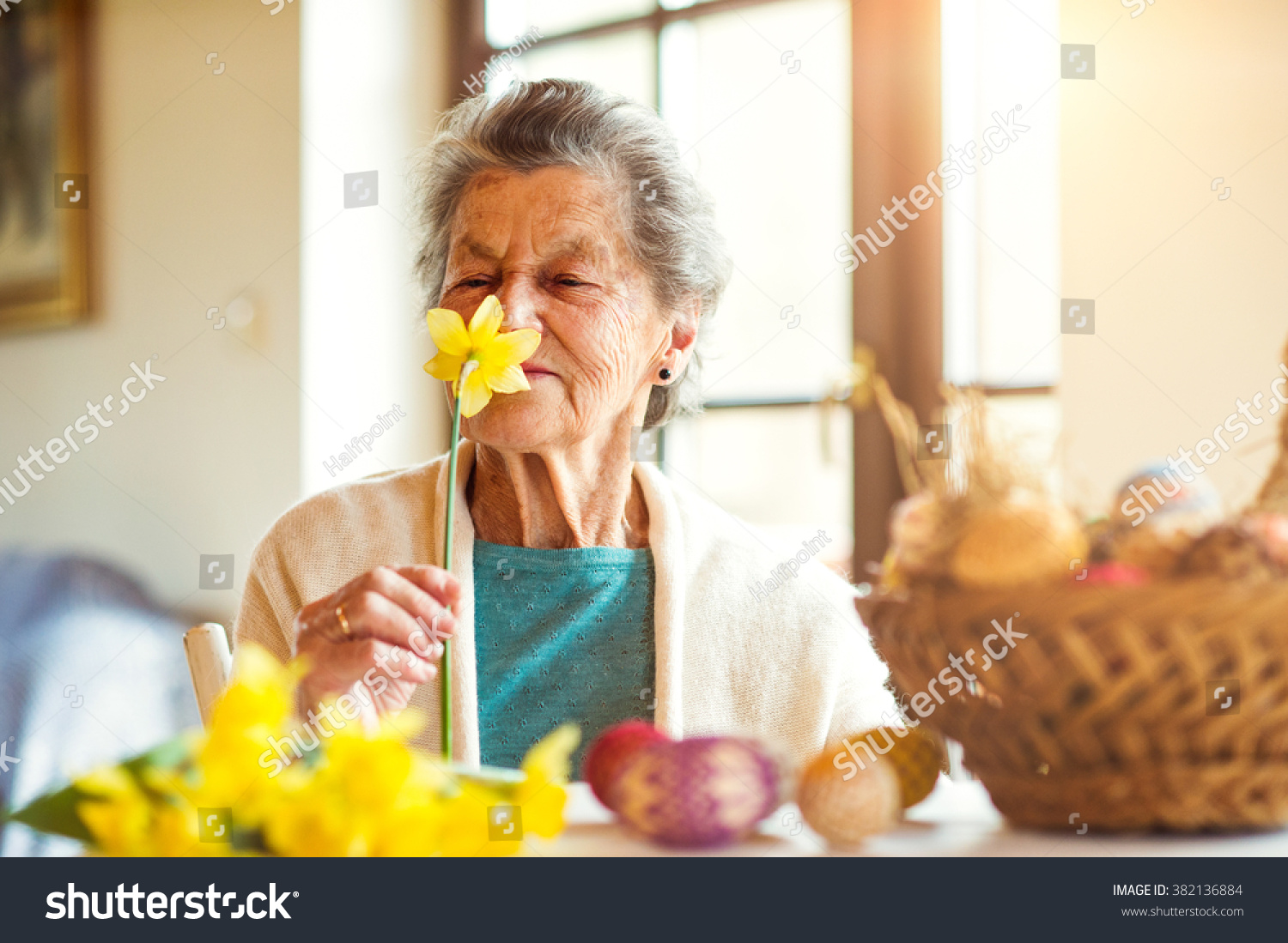 Senior woman by the window smelling yellow daffodil  Easter