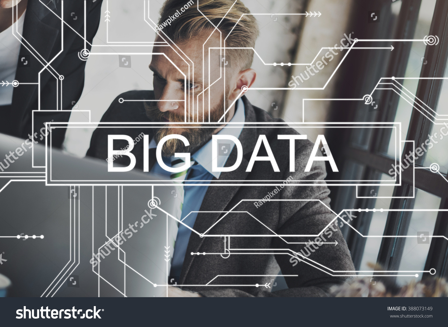 Big Data Storage Network Online Server Concept