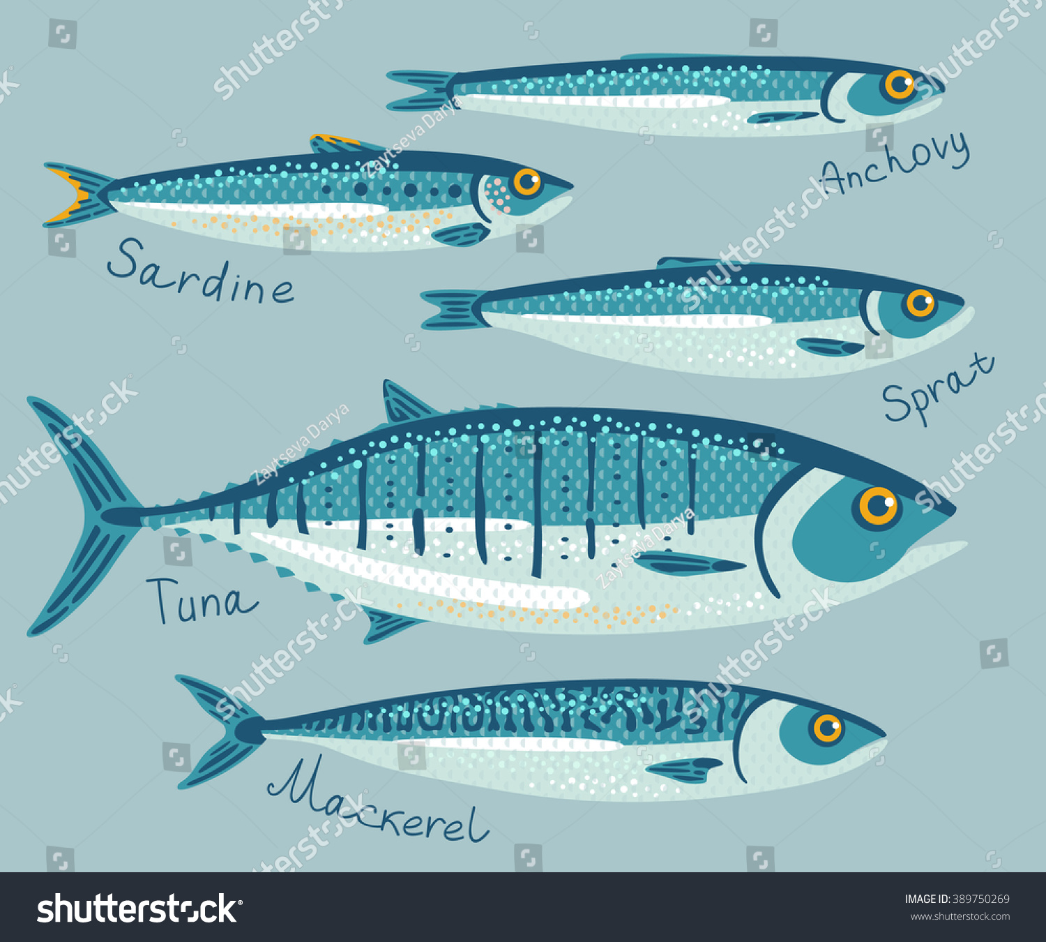 Fish collection for conservation in flat style. Set with anchovy