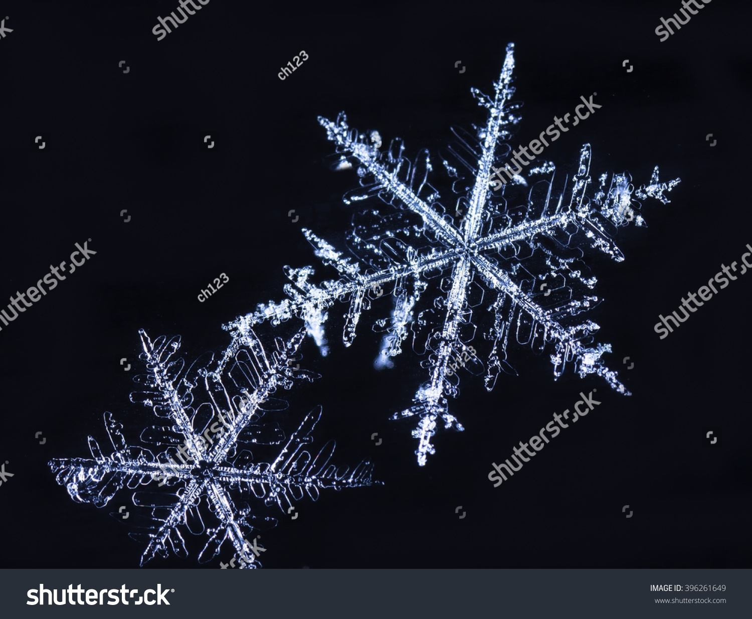 real snowflakes in color lighting
