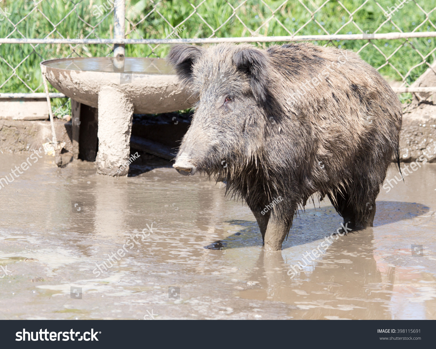 mud=牡丹江天气