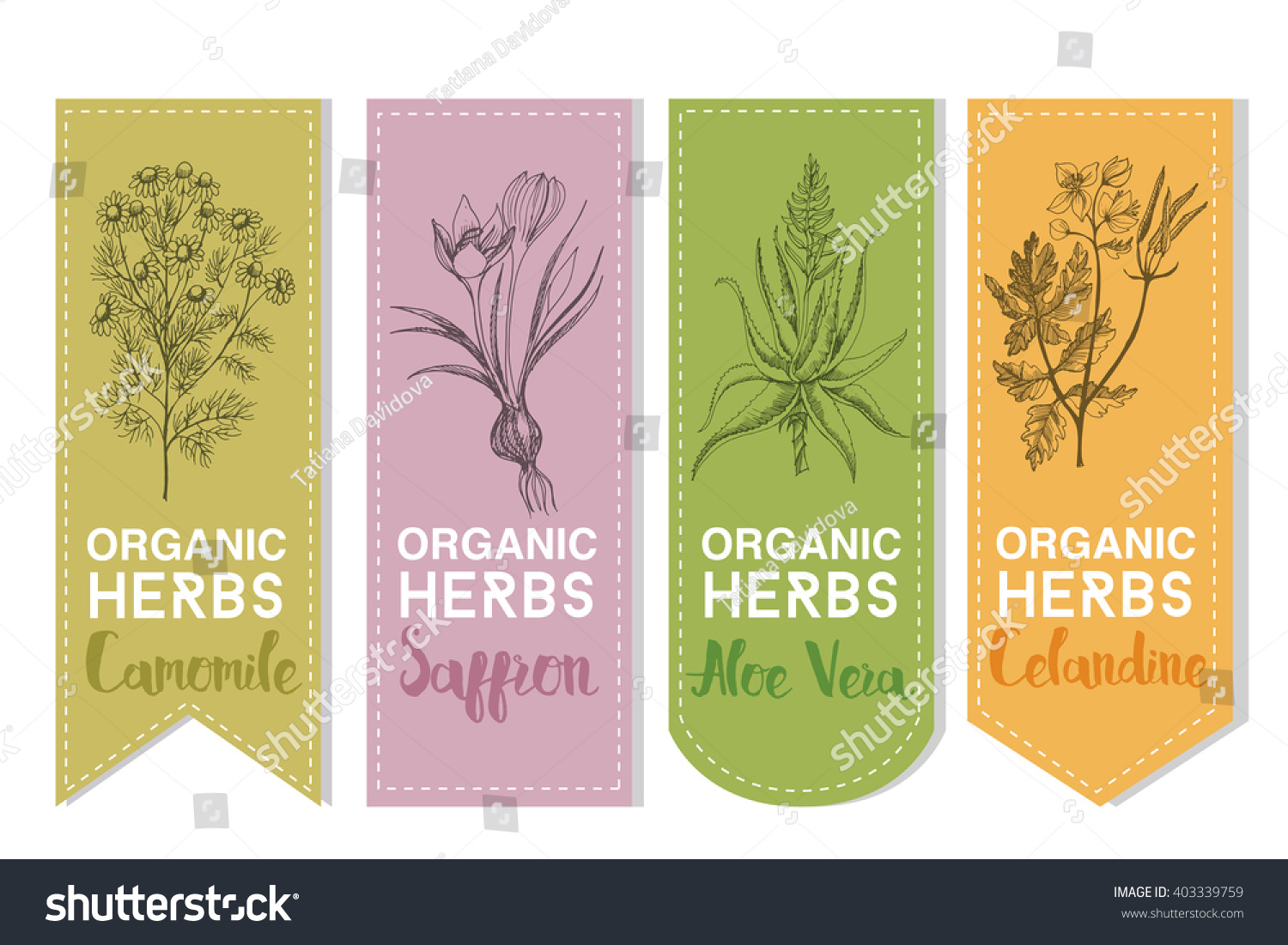 Organic herbs set of label.
