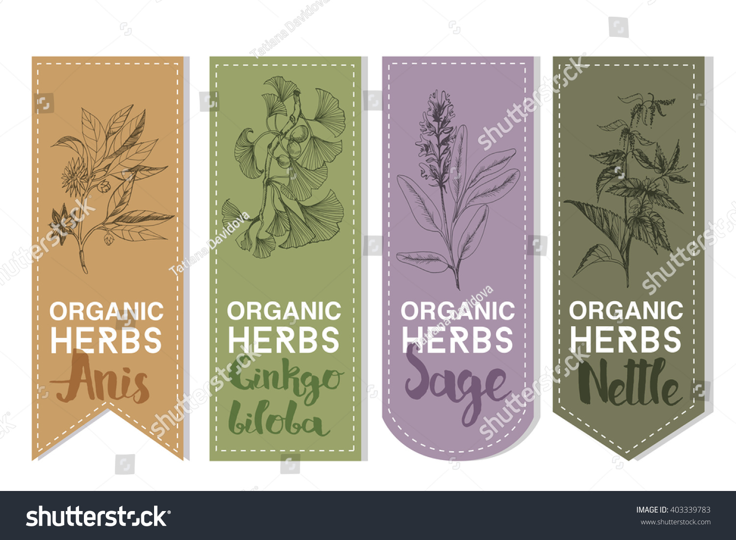 Organic herbs set of label.