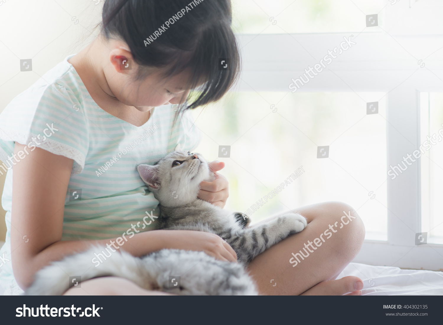 Beautiful asian girl playing with american shorthair cat on the bed