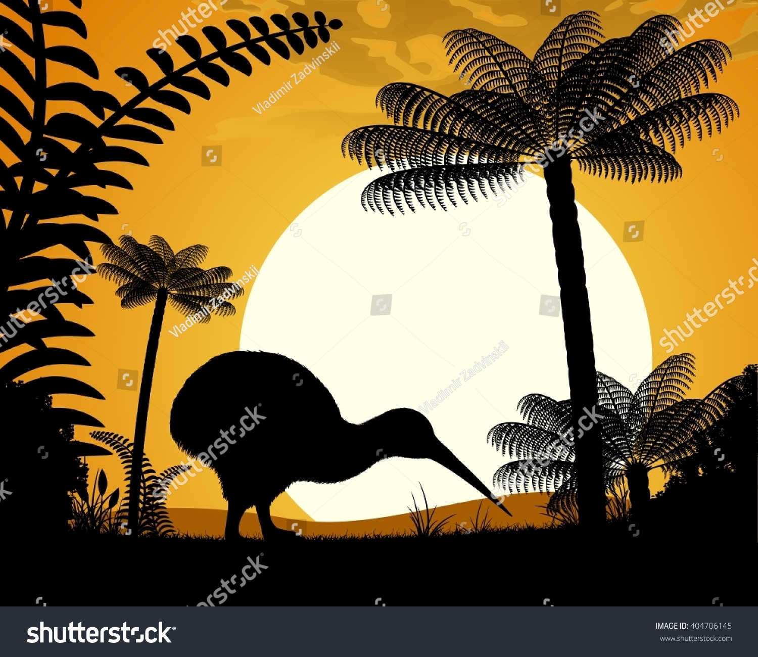 Kiwi bird at sunset. Kiwi bird on a background of tree ferns. Vector illustration.
