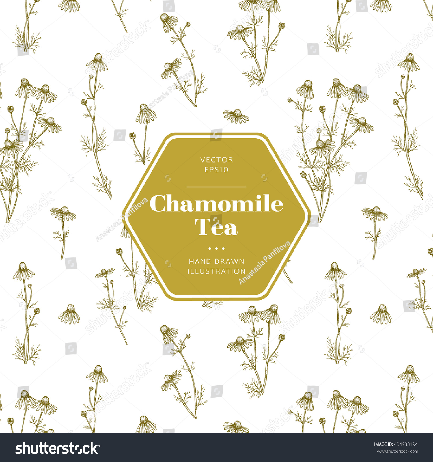 Vector hand drawn rosehip tea emblem. Includes seamless pattern swatch.