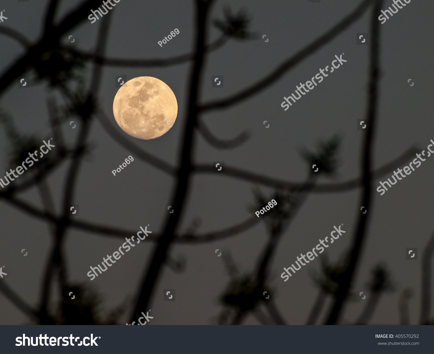 Abstract background  the full moon on the night of dreams.