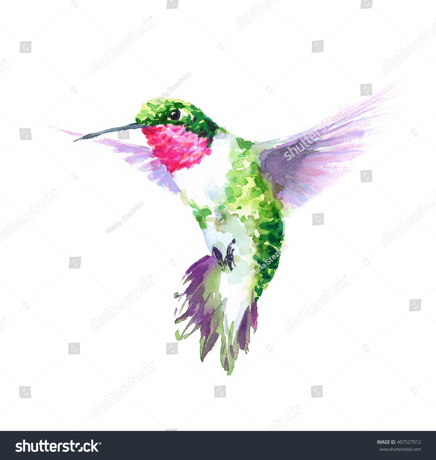 Watercolor Bird Hummingbird Flying Hand Drawn Summer Garden Illustration isolated on white background