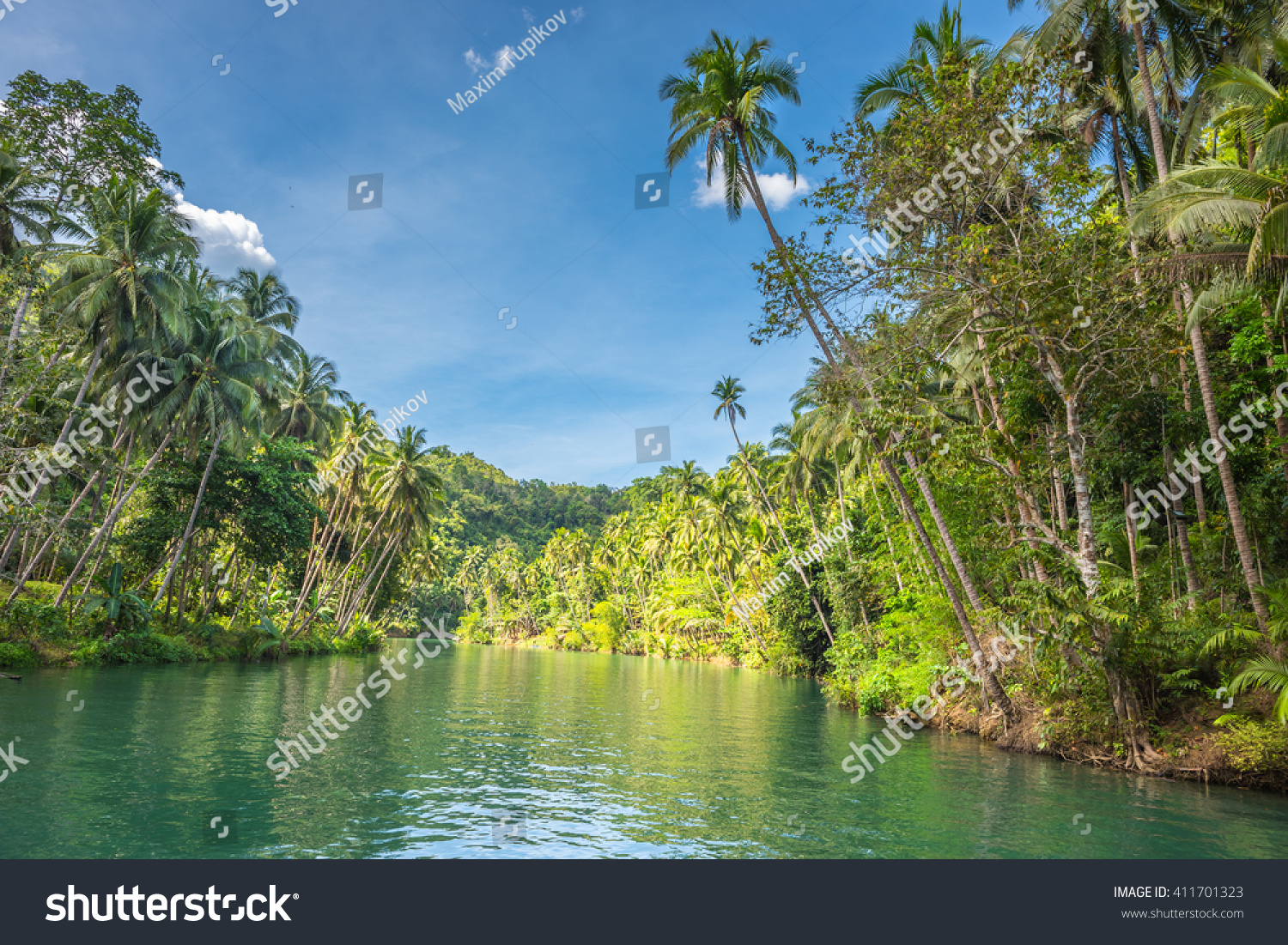 View of  jungle green river Loboc at Bohol island of Philippines