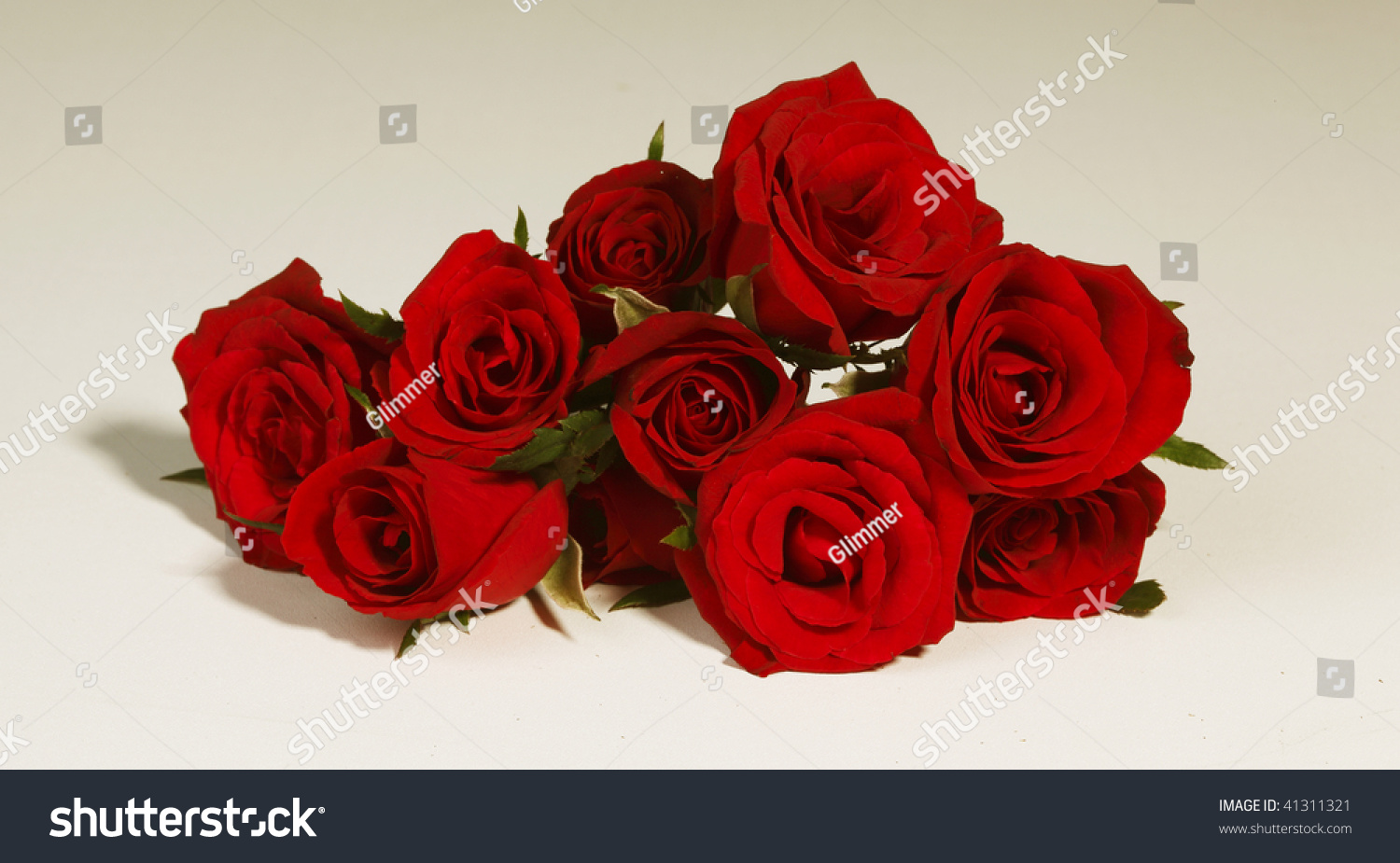 Beautiful red roses