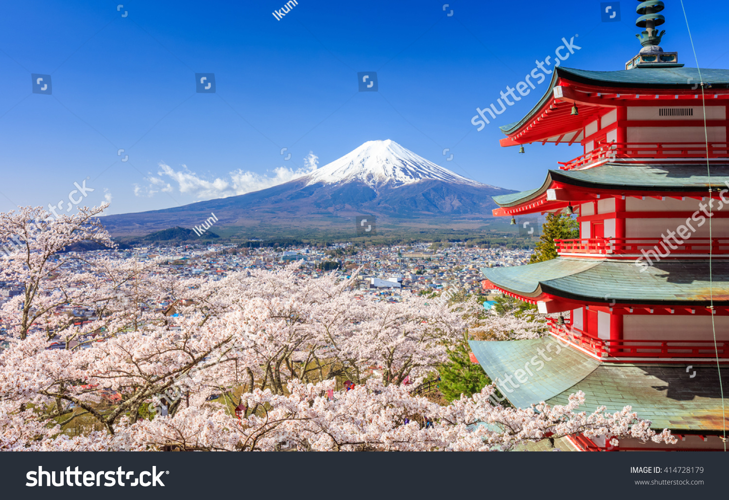 Mt. Fuji with Chureito Pagoda in Spring  Fujiyoshida  Japan