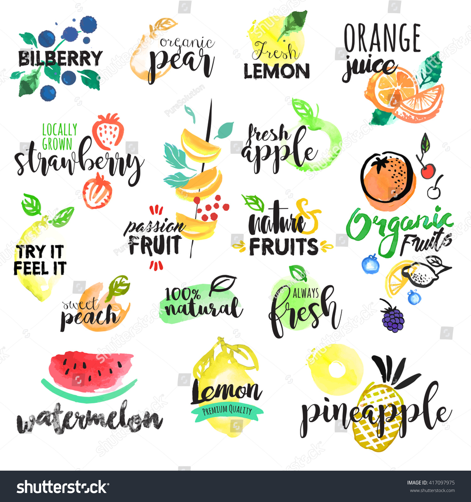 Set of hand drawn watercolor labels and stickers of fruit. Vector illustrations for graphic and web design  for food and drink  restaurant and bar  menu  fruit market  organic fruits.