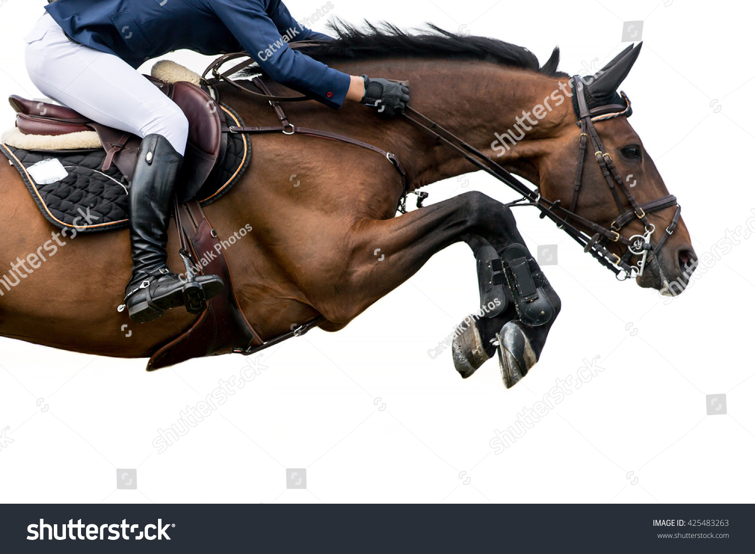 Horse Jumping  Equestrian Sports  Isolated on White Background