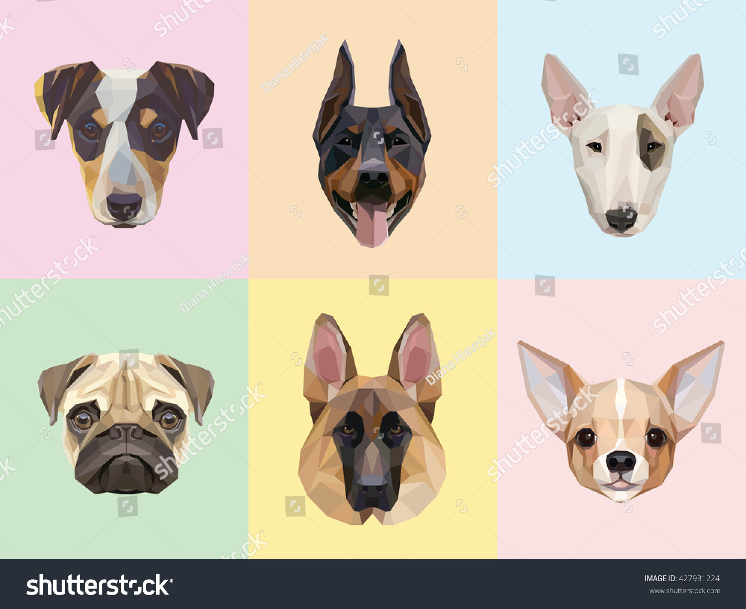Dog breeds portraits vector illustrations in modern geometric style isolated on colorful light backgrounds. Jack Russell  Doberman  Bull terrier  Pug  German Shepherd and Chihuahua