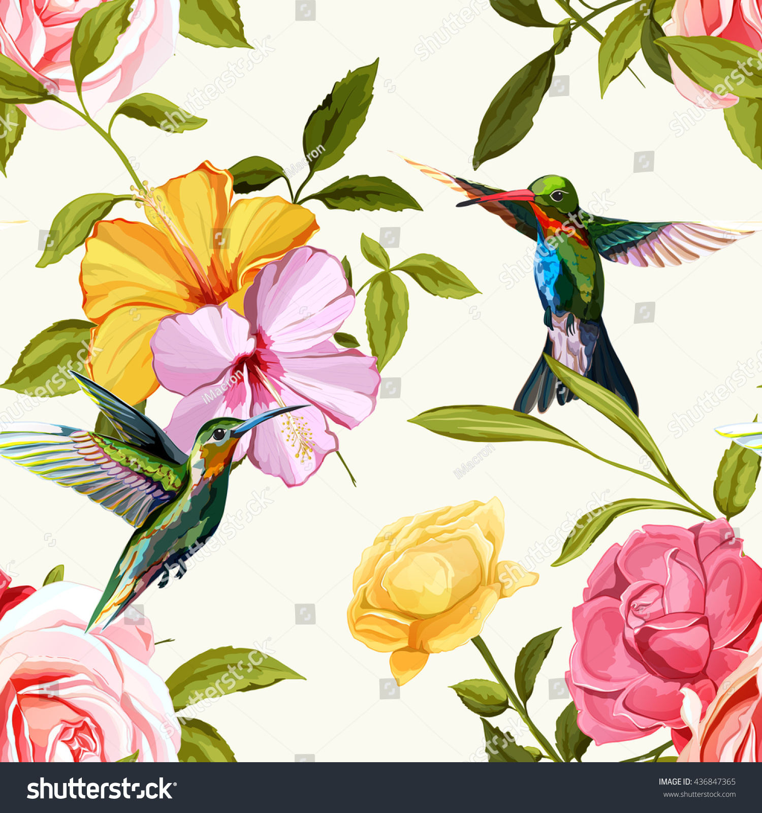 Humming bird  chinese and classic roses on white. Seamless background pattern. Hand drawn elements. Vector - stock.