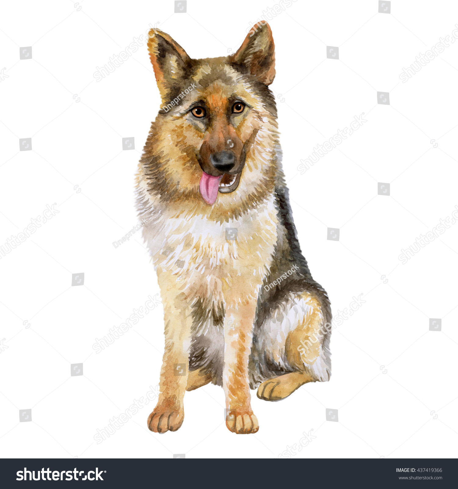 watercolorcloseupportraitoflargegermanshepherdbreeddogisolatedon