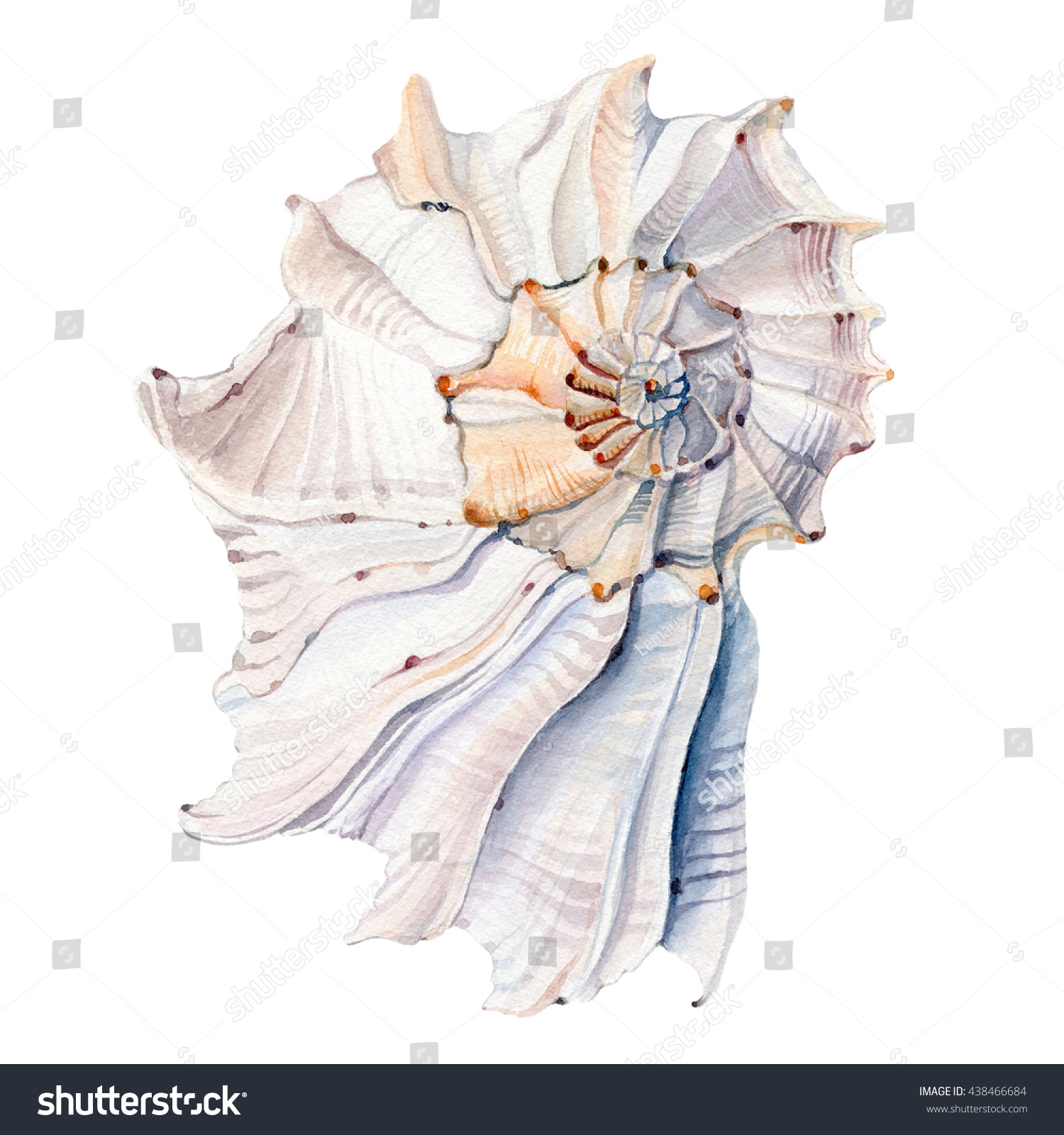 watercolor sea shells.  It can be used for wallpaper  fabric design  textile design  cover  wrapping paper  banner  card  background