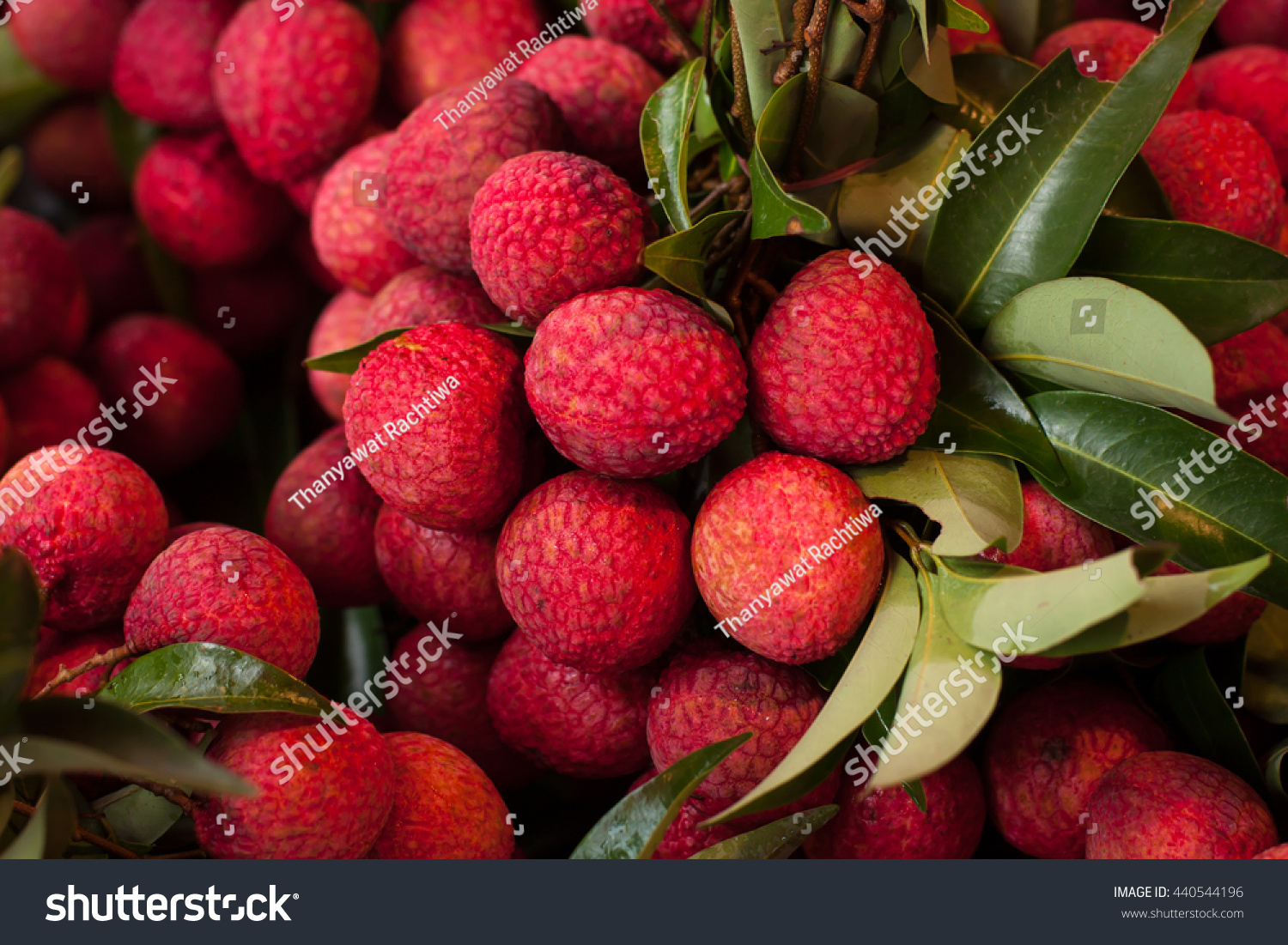 fresh litchi fruit