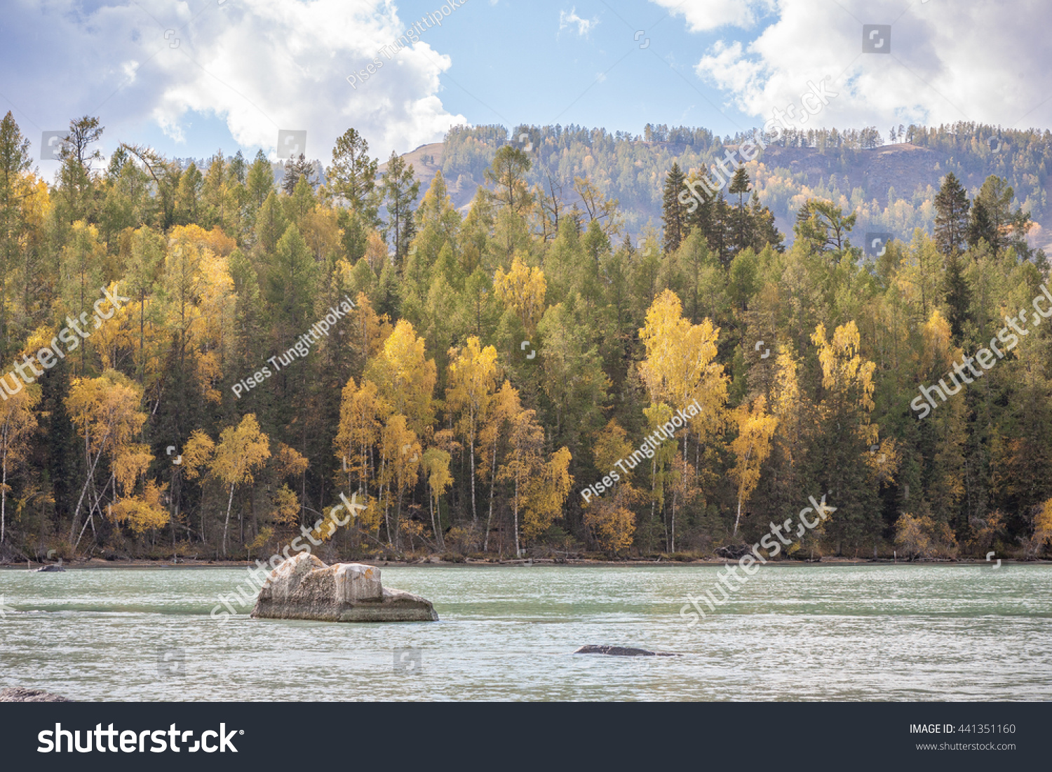 Autumn lake colorful landscape with stumps and rock in kanas lake xinjiang China