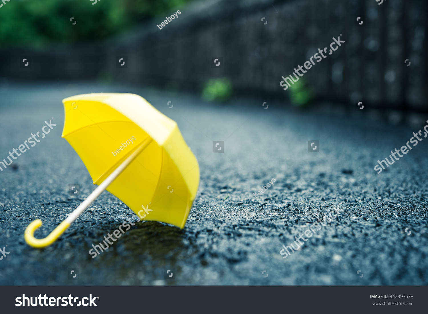 Rainy day  umbrella
